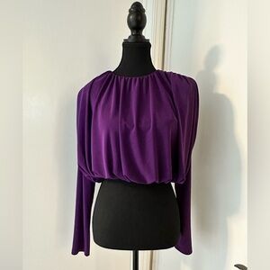 Zara purple long sleeve crop top